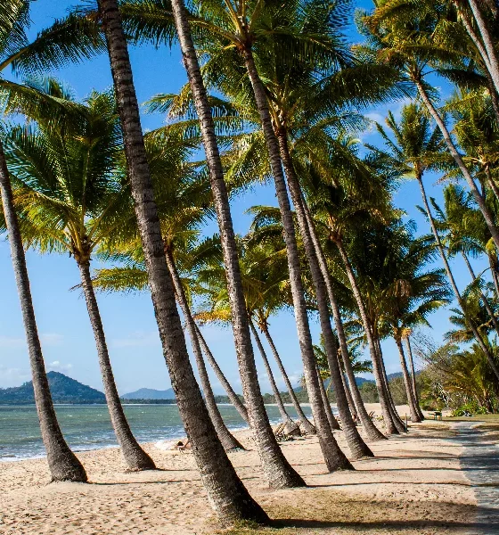 Things to do in Palm Cove