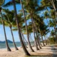 Things to do in Palm Cove