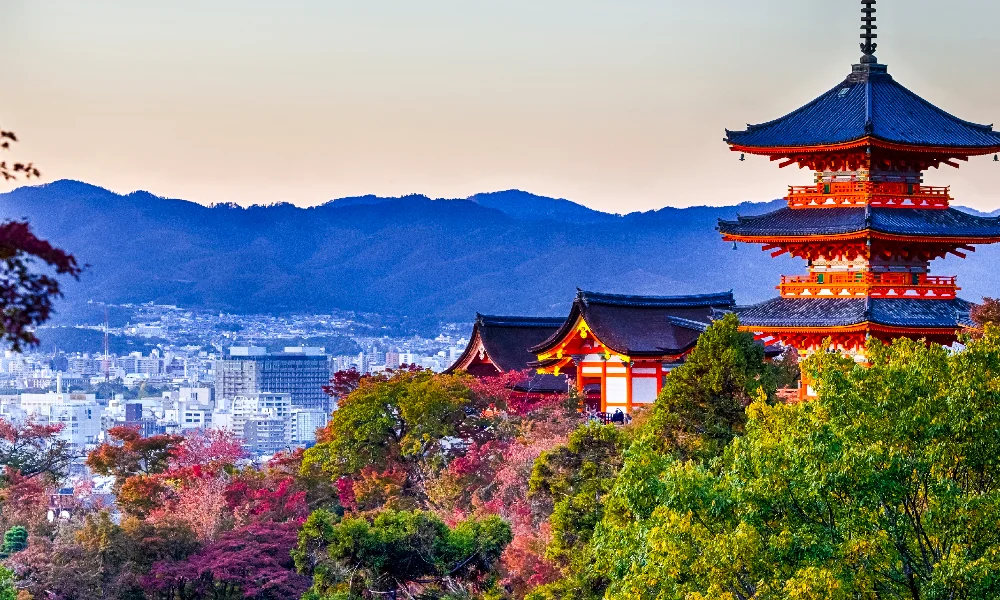 Must-Visit in Kyoto