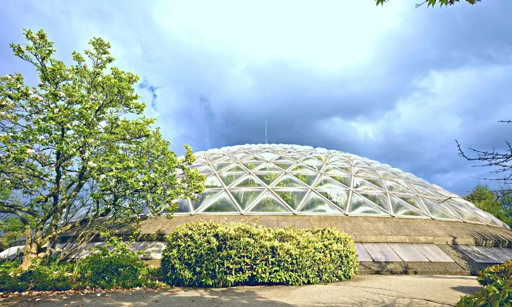Bloedel Conservatory Dome