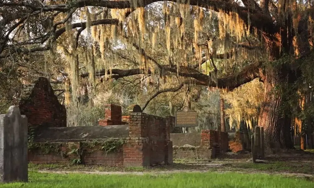 Local Ghosts in Savannah 