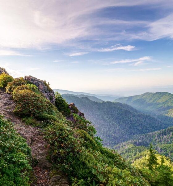 Gatlinburg's Best Hikes