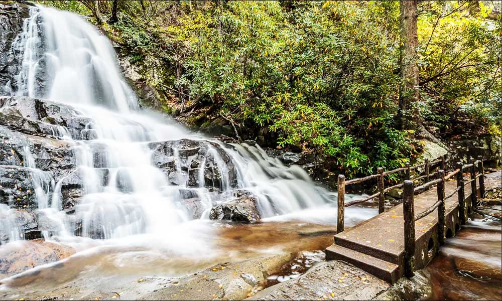 Laurel Falls Trail