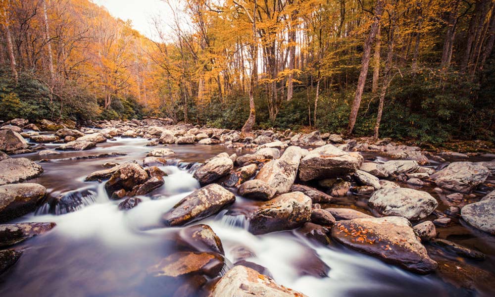 Ramsey Cascades Trail