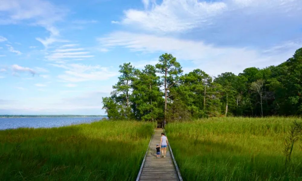 York River State Park