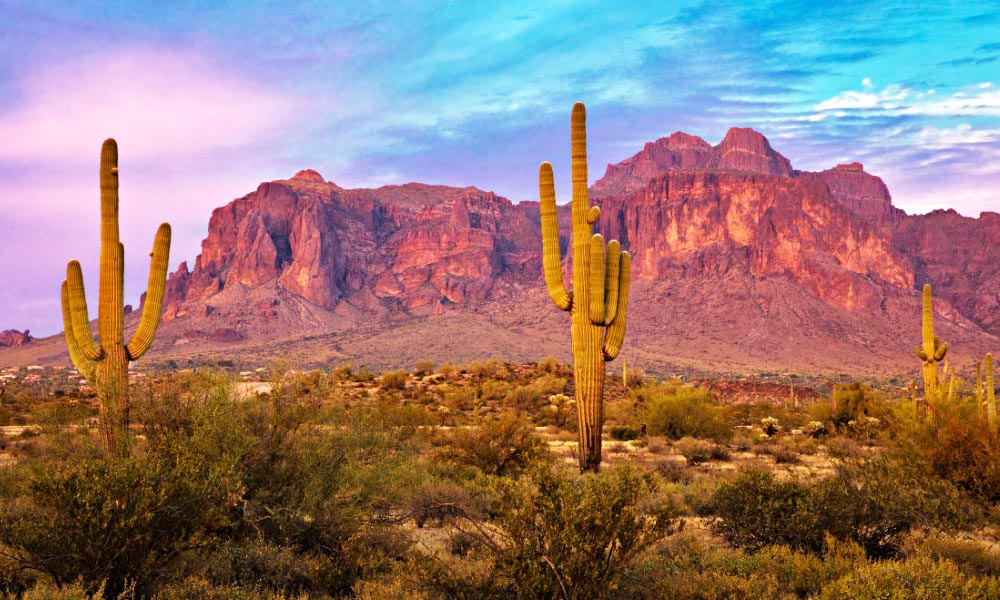 A stunning view of South Mountain Park and Preserve in Phoenix, Arizona, with towering saguaro cacti in the foreground and rugged desert mountains glowing in the sunset.