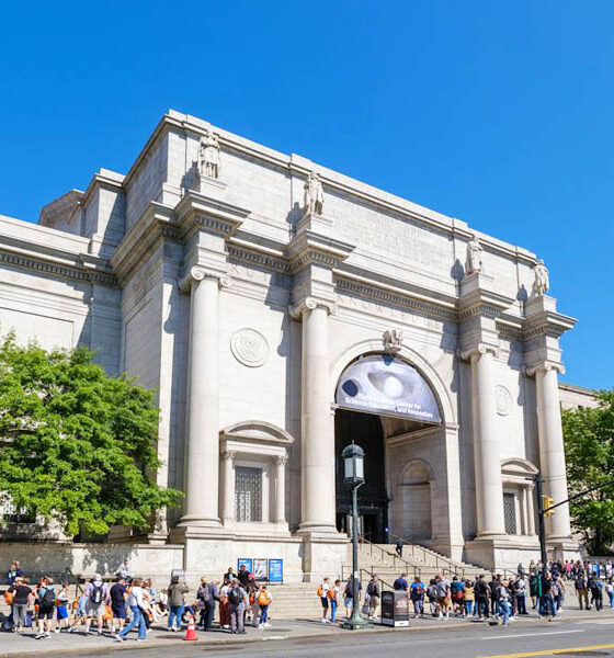 The American Museum of Natural History