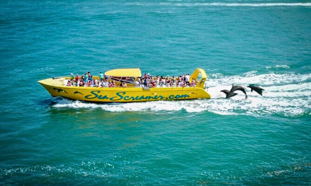 dolphin-watching cruise