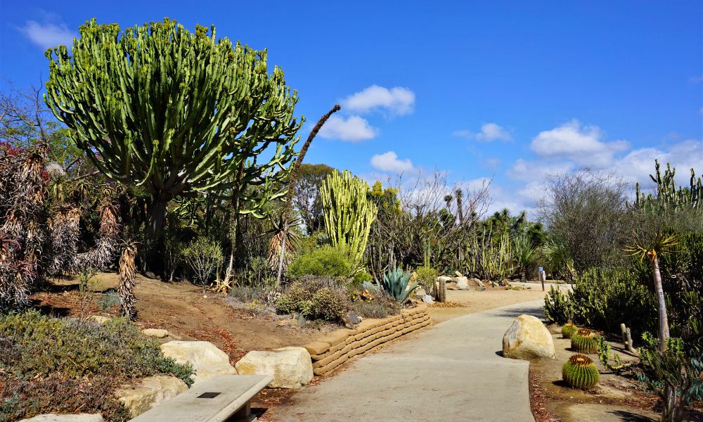 Balboa Park’s Desert Garden