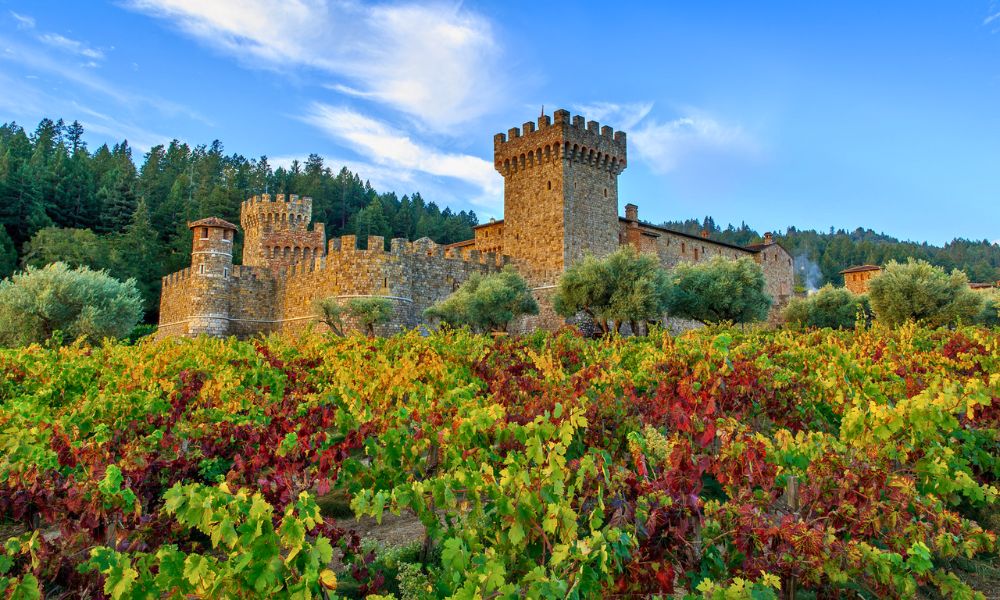 Castello di Amorosa