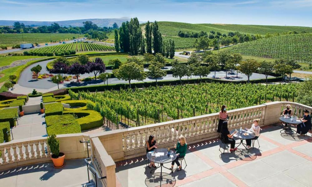 Domaine Carneros