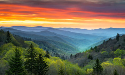 Great Smokies