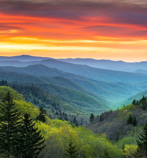Great Smokies