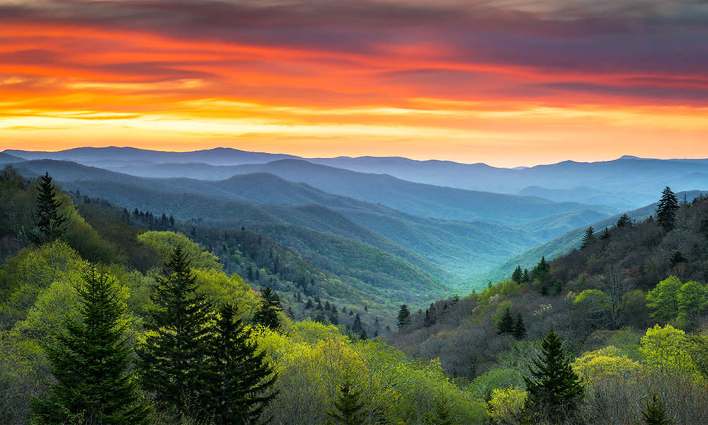 Great Smokies