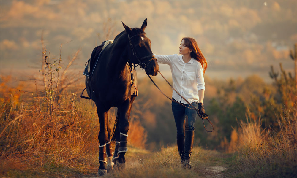 Horseback riding.