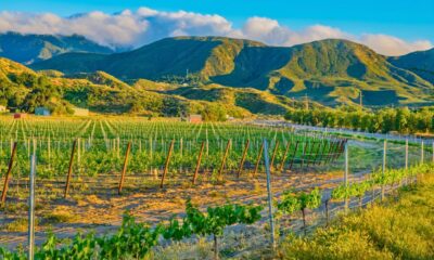 Napa Valley
