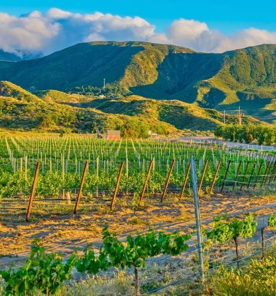 Napa Valley