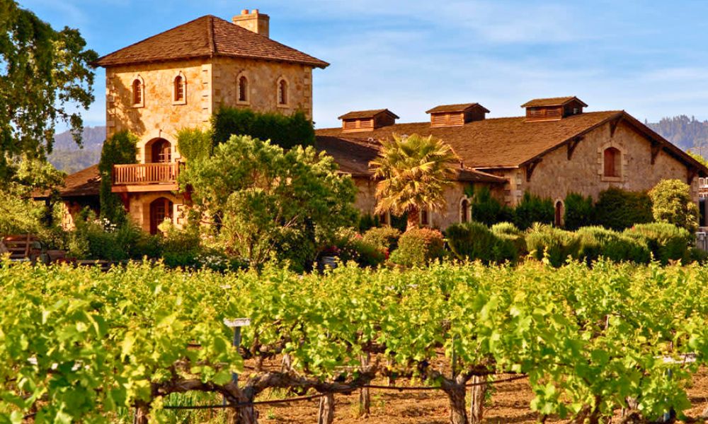 V. Sattui Winery
