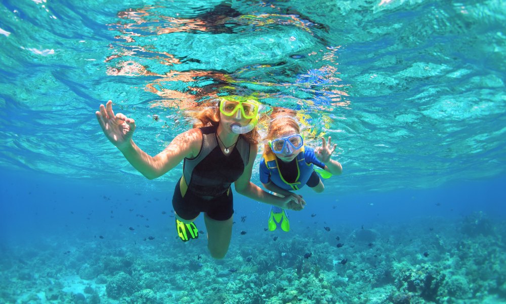 Marine Life